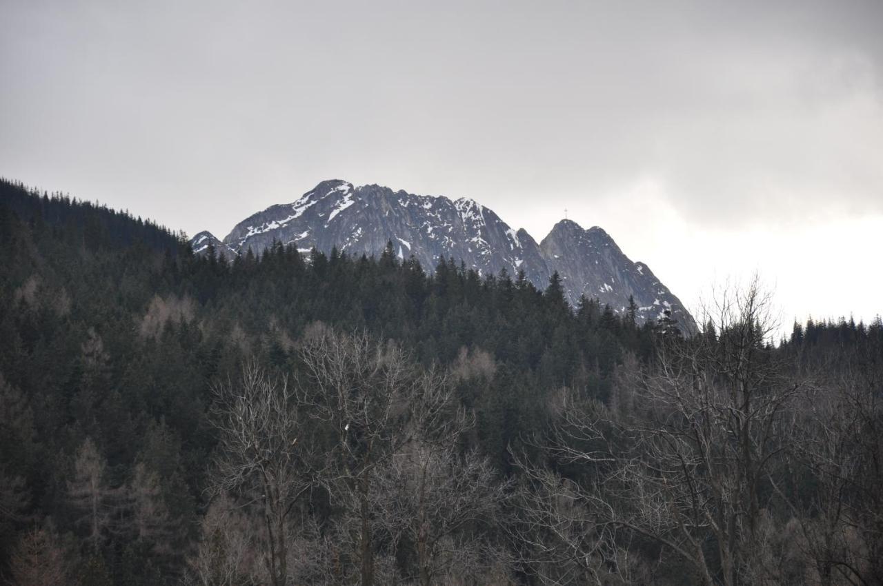 Willa Bystry, Pod Nosalem Zakopane Exterior photo